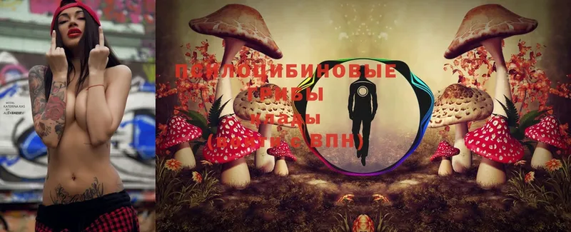 Псилоцибиновые грибы Magic Shrooms  Дудинка 